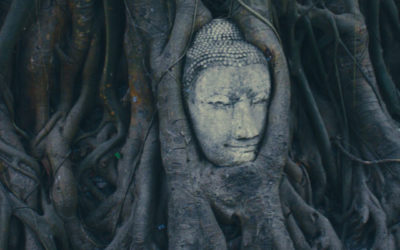 Mindfulness for Cognition