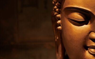 Buddhist Philosophy Course